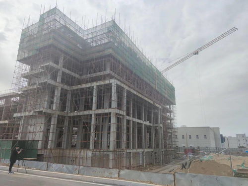 东方红西洋参药业二期工程建设有条不紊推进