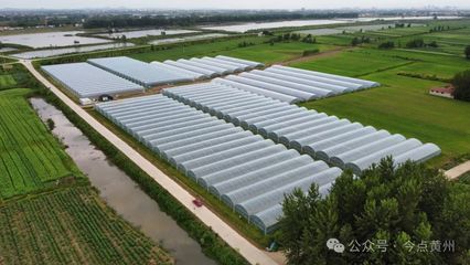 强县工程看黄州丨黄州区:大力发展现代农业 推进农业产业现代化