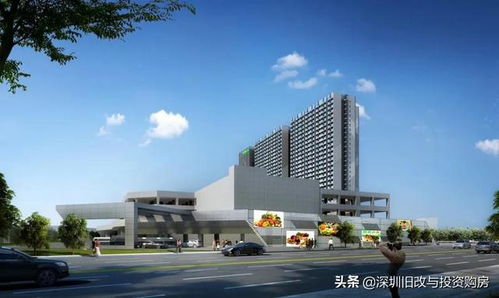 总建面31万㎡ 光明海吉星要来了,全面进入主体结构施工