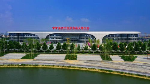 招 来一众金凤凰 引 出发展新天地