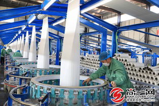 湖南一环保公司将规划建设年处理6万吨废塑料资源化利用工程项目