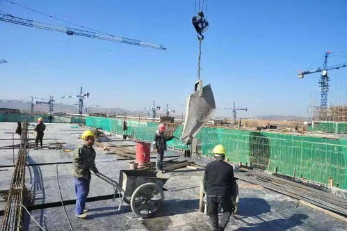 速度 主体将全部封顶 部分投入使用 中农批冷链物流项目一期工程建设接近尾声