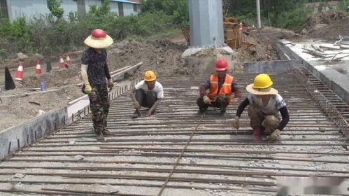 临沭加快推进泰安路道路工程建设
