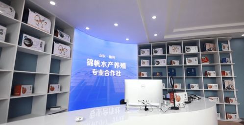 竞赛比武 走进全市基层党建观摩①农村领域观摩点