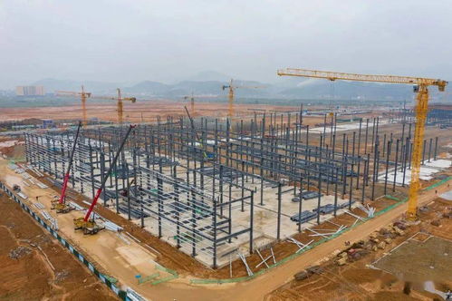 拿地即开工服务向前冲 福建日报头版关注福鼎这个大项目建设